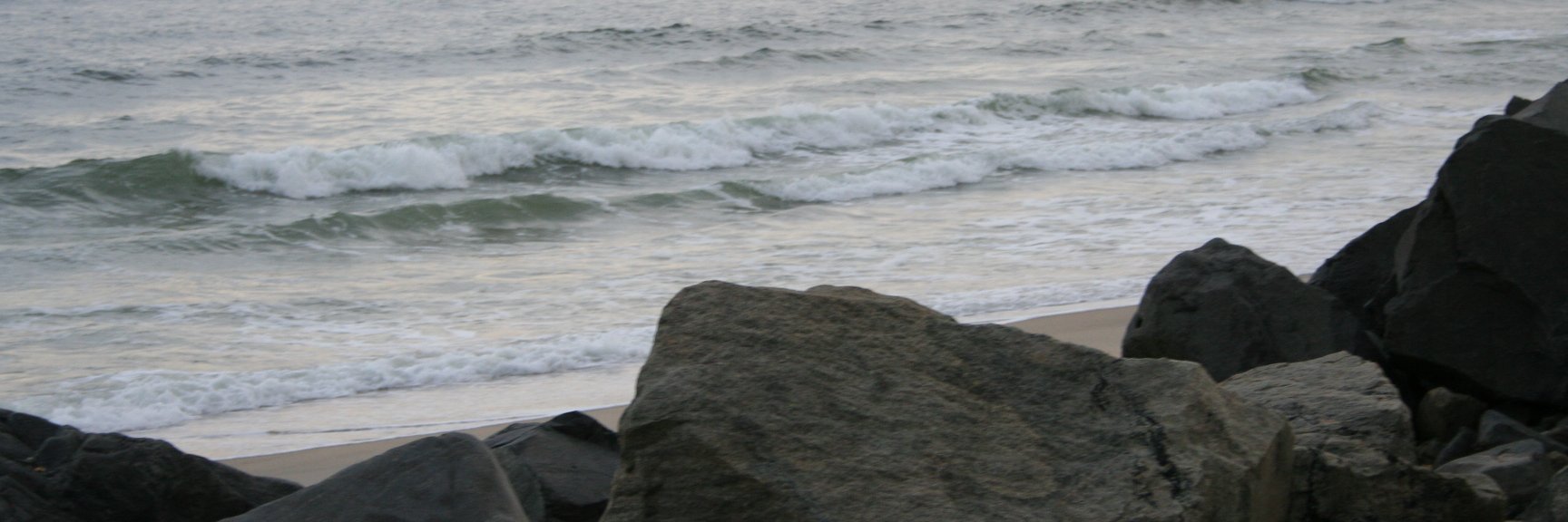 terri_zerr's profile banner image