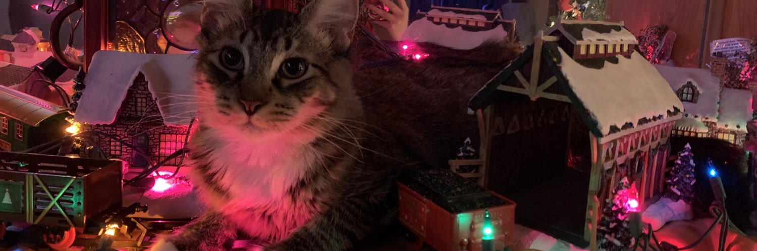 Ferfavilaa's profile banner image