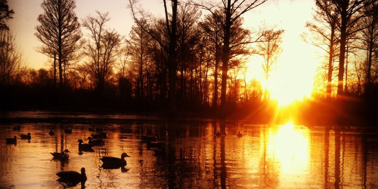 davis_moran's profile banner image