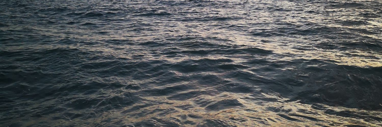 literatun's profile banner image