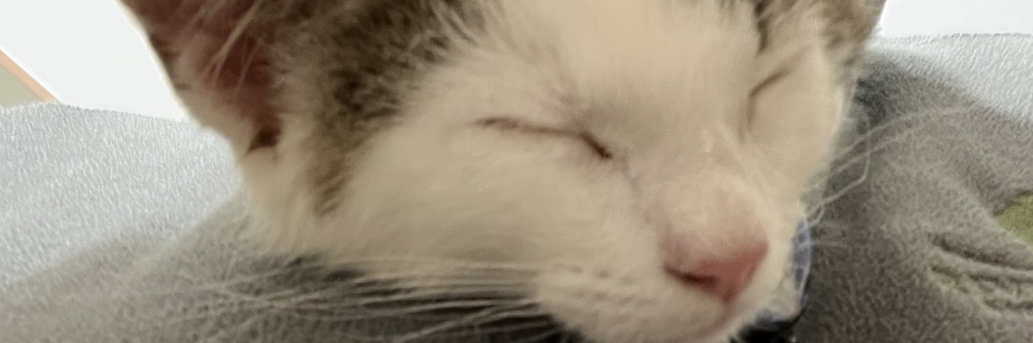 ApisFelices's profile banner image