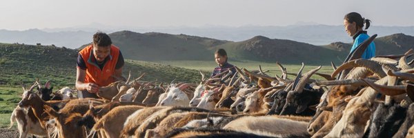 GlobalPress Profile Banner