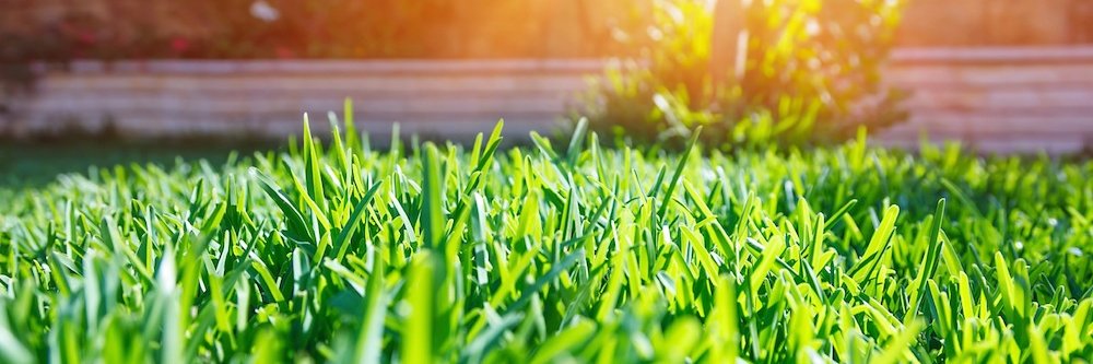 TopTurf's profile banner image