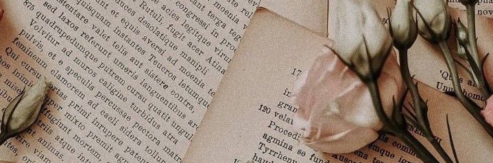 Angelesgmtz's profile banner image