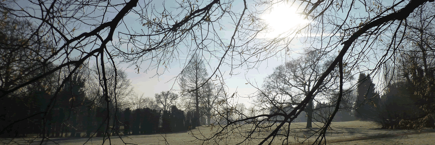 WPSGCSE's profile banner image