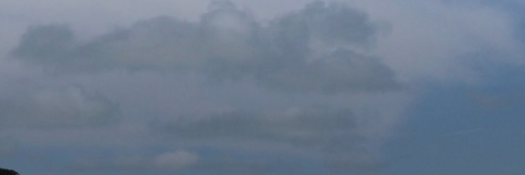 mamanaway's profile banner image