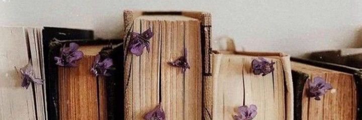 Zeynepsalann's profile banner image
