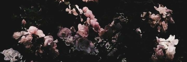 mariajekyll's profile banner image