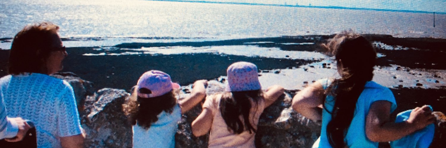 SophieBntd's profile banner image