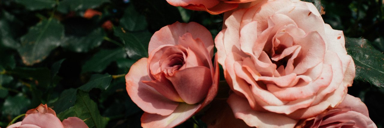 varvara_sten's profile banner image
