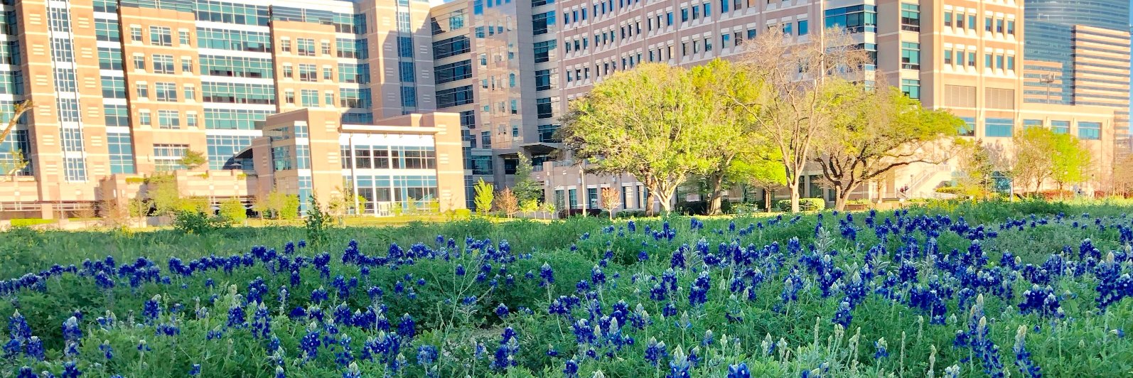 Paul Scheet 🌮🧬 banner