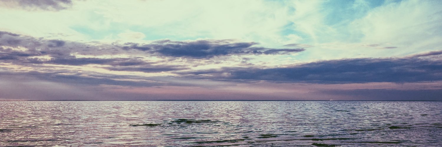 VioleC09's profile banner image