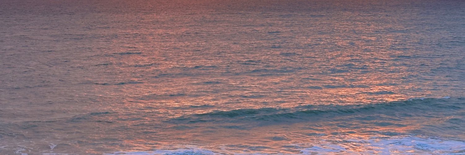 saredunav's profile banner image