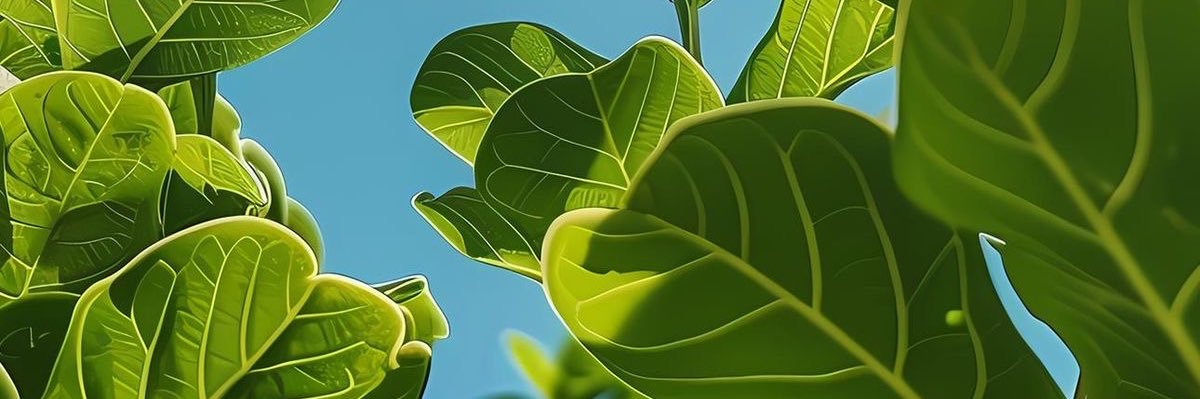 daddyplant84's profile banner image