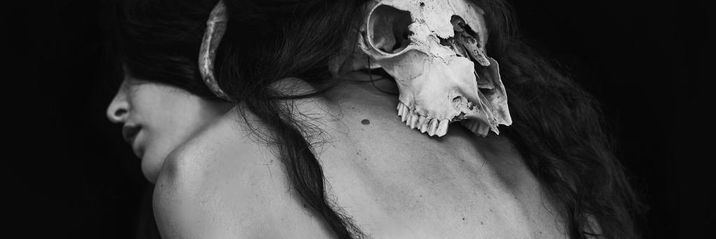 berylmeade's profile banner image