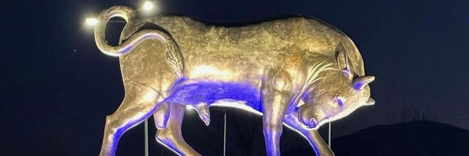 epirusgate's profile banner image