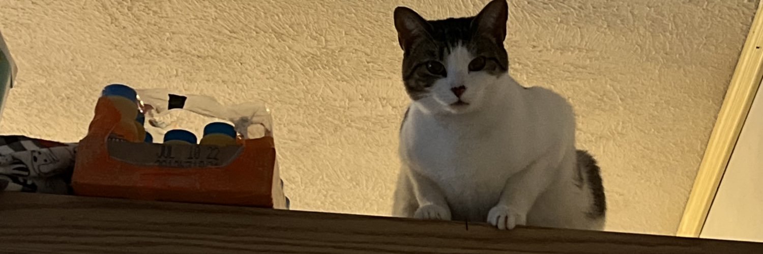 OkayNick_'s profile banner image
