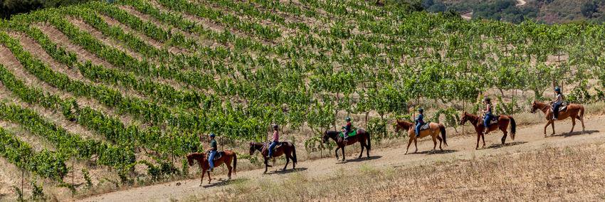 Cooper-Garrod banner