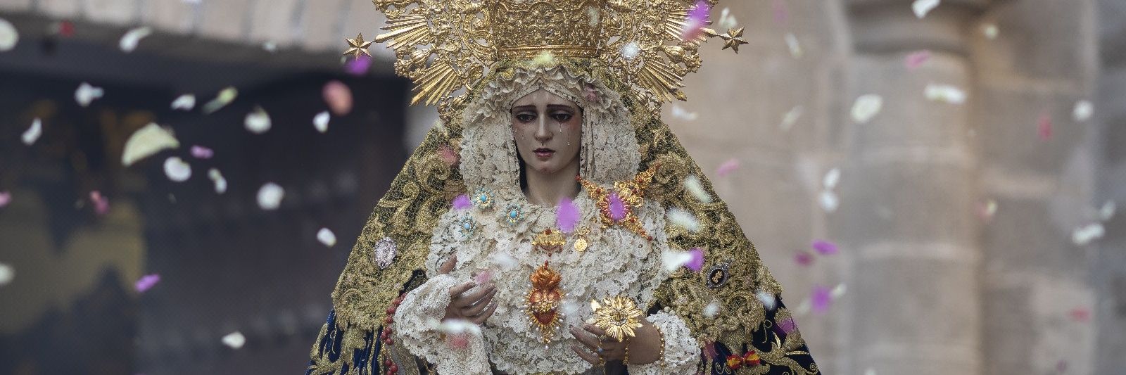⚜ Fran Sánchez ⚜ banner