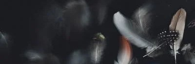 annes66's profile banner image