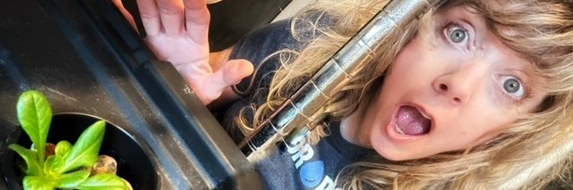 GlennaTabor's profile banner image