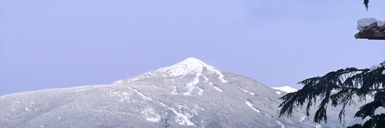 WolfermanQuinn's profile banner image