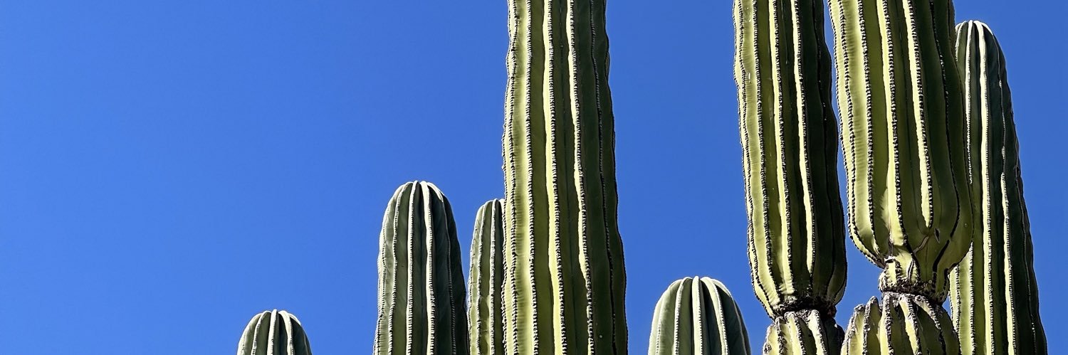 Danielagomezvc's profile banner image