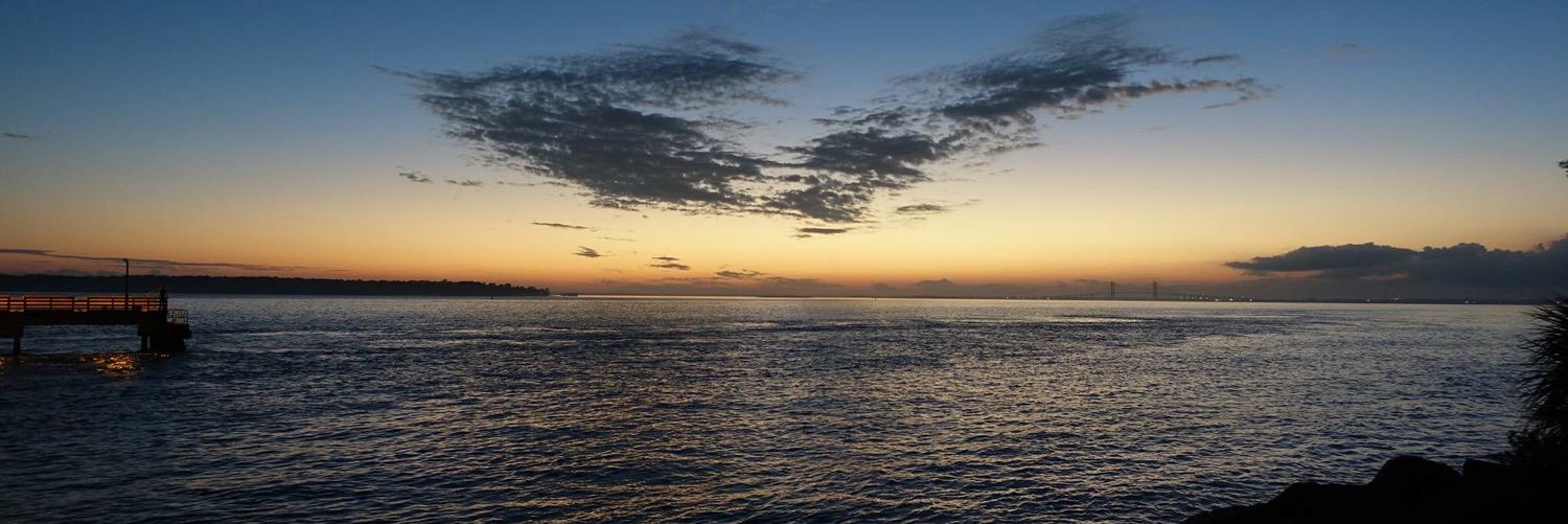 SFSosebee's profile banner image