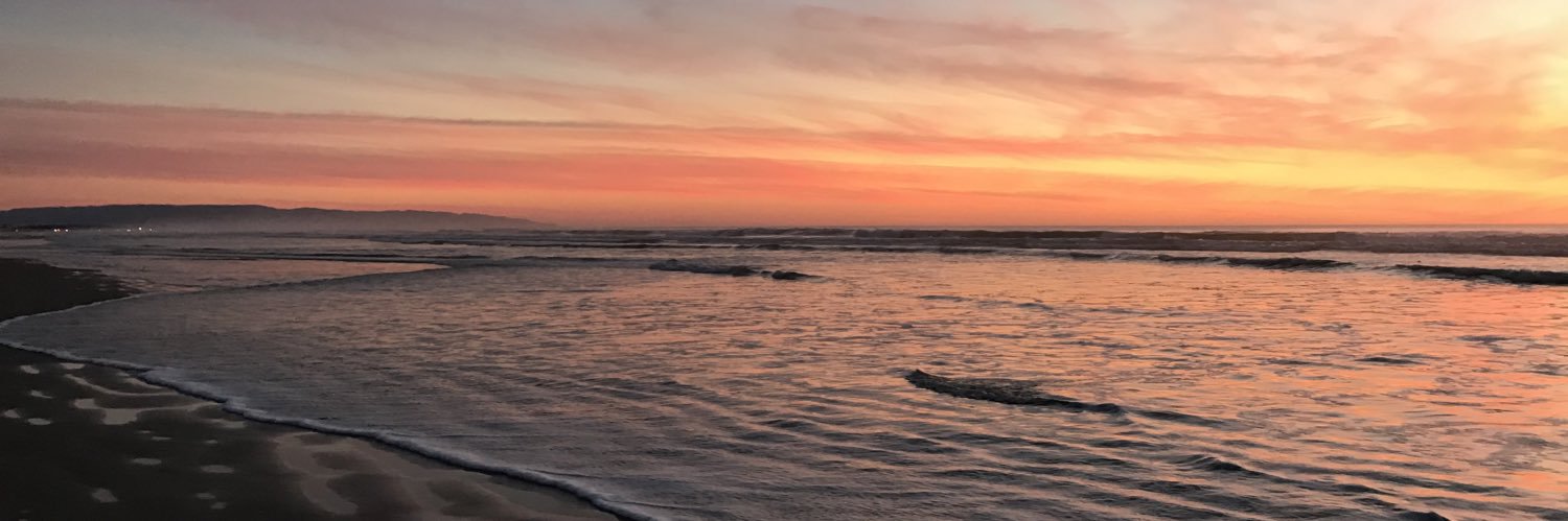 Peter Johnson banner