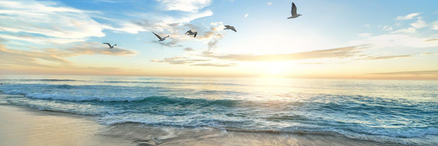 Rebeca F.Farpon banner