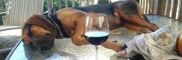 今夜のデリバリー🏩 banner