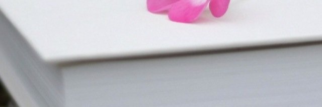 a4f2h's profile banner image