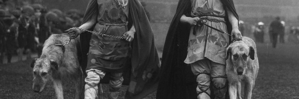 Malcolm McC ☘️🏴󠁧󠁢󠁳󠁣󠁴󠁿🇪🇺🏃🏻‍➡️ banner