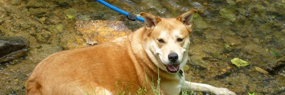 Mmisshicks's profile banner image