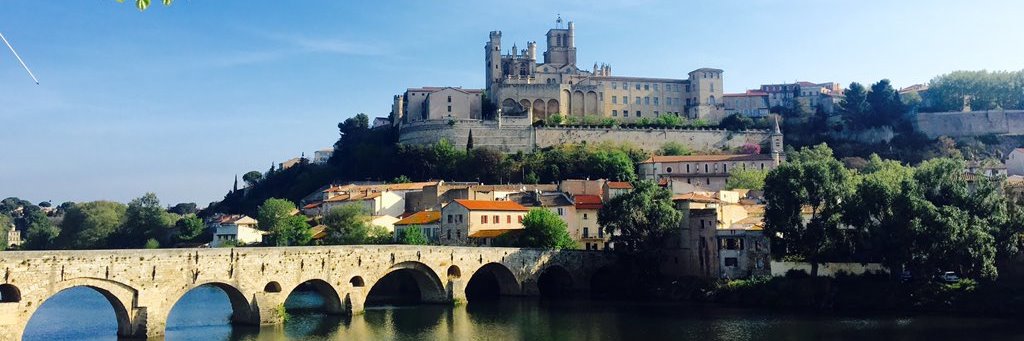 Professor Denis Harkin banner