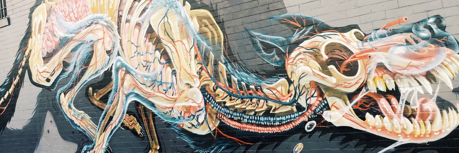 allisonjorsch's profile banner image