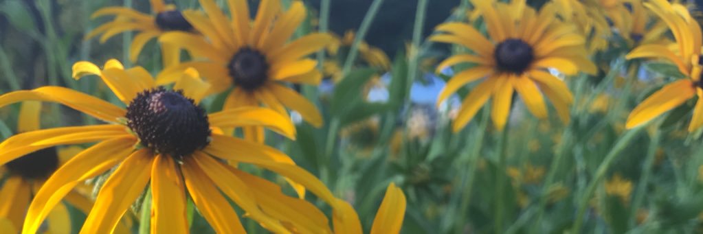 MartinAshli's profile banner image