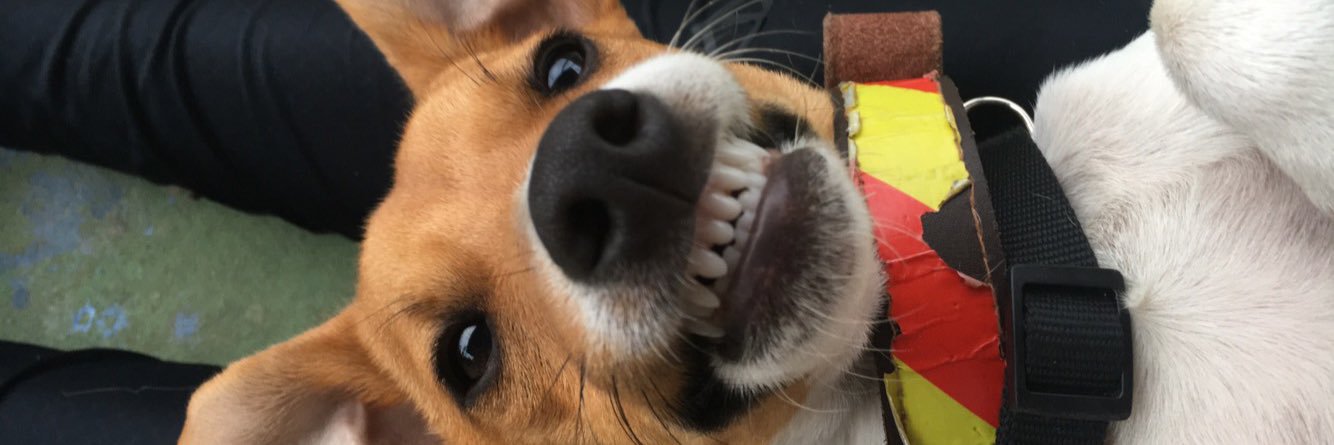 AbyChalupa's profile banner image