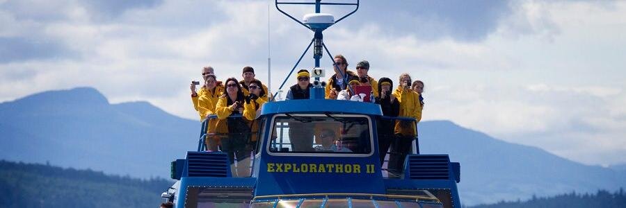 Vancouver Whale Watch banner
