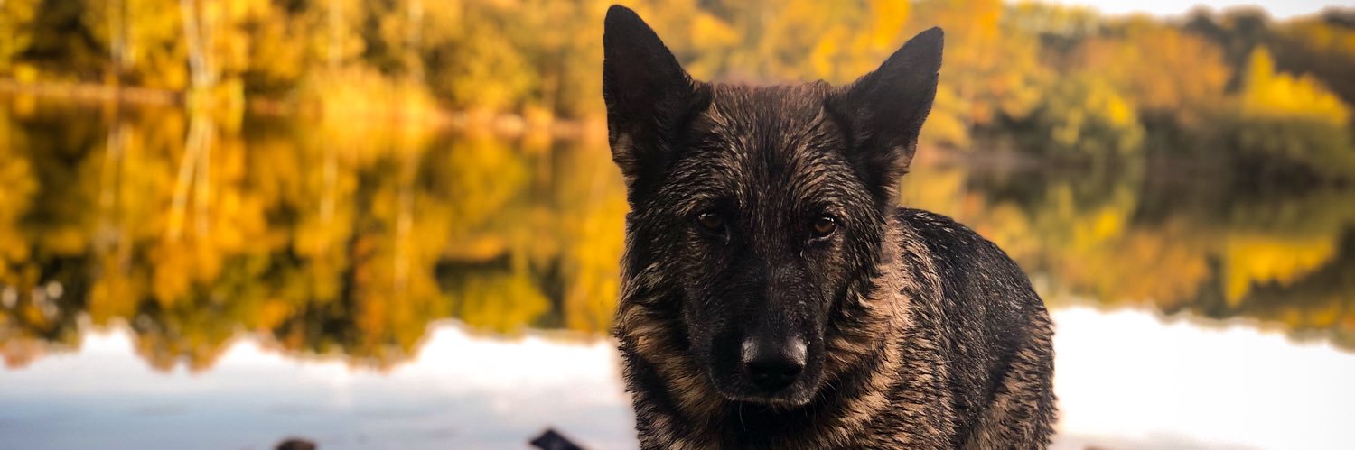 arezozozo8's profile banner image