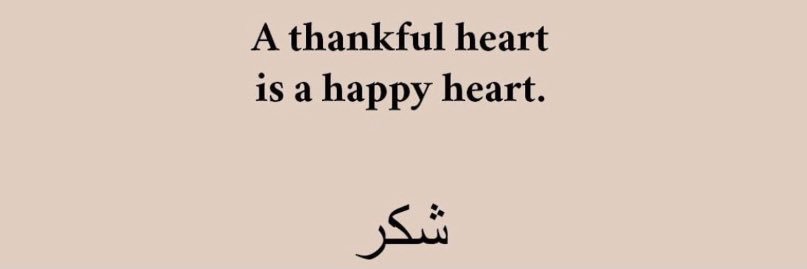 bilqees_b26's profile banner image