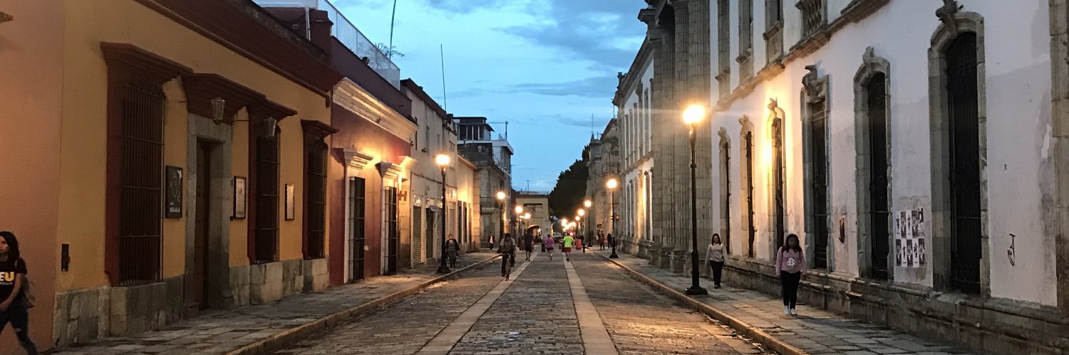 mireyaudelo's profile banner image