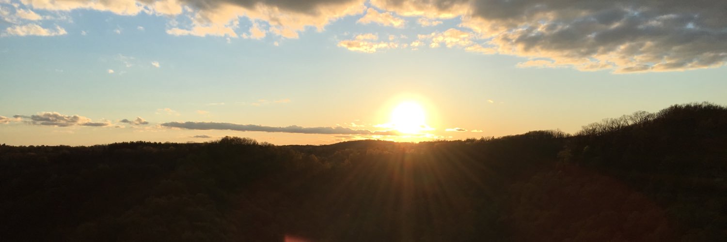 Caroline_Innes's profile banner image