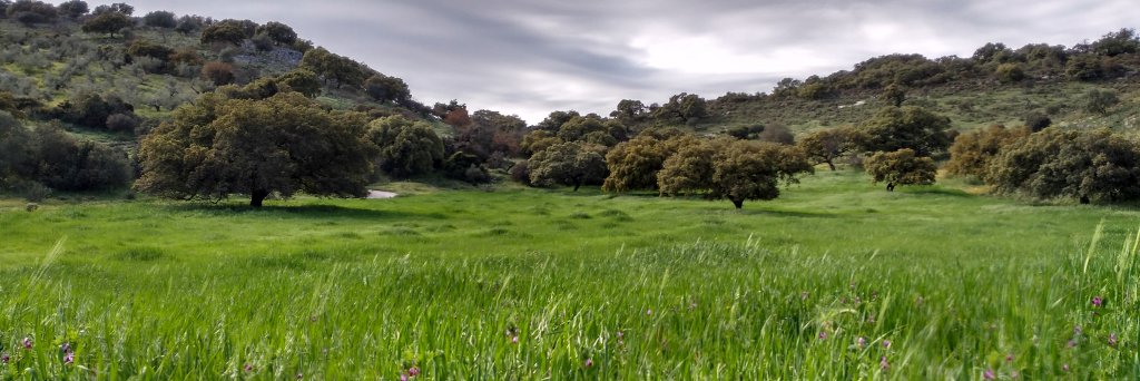 Jose_Munii's profile banner image