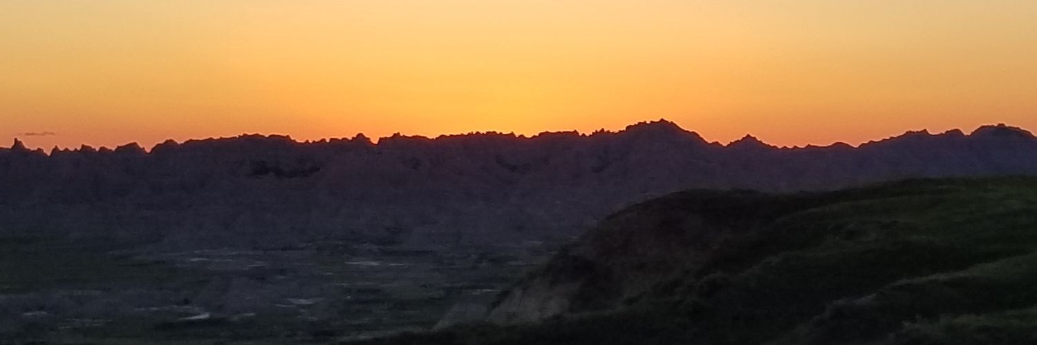 laurengoos96's profile banner image