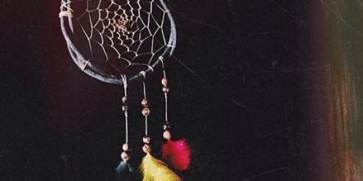 stefavari's profile banner image