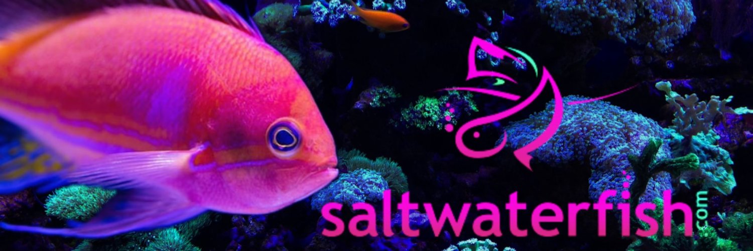 Saltwaterfish.com banner