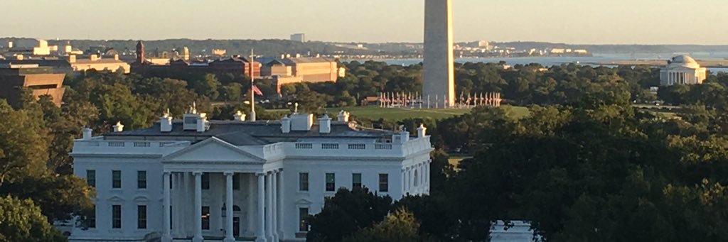 Maggie Miller banner