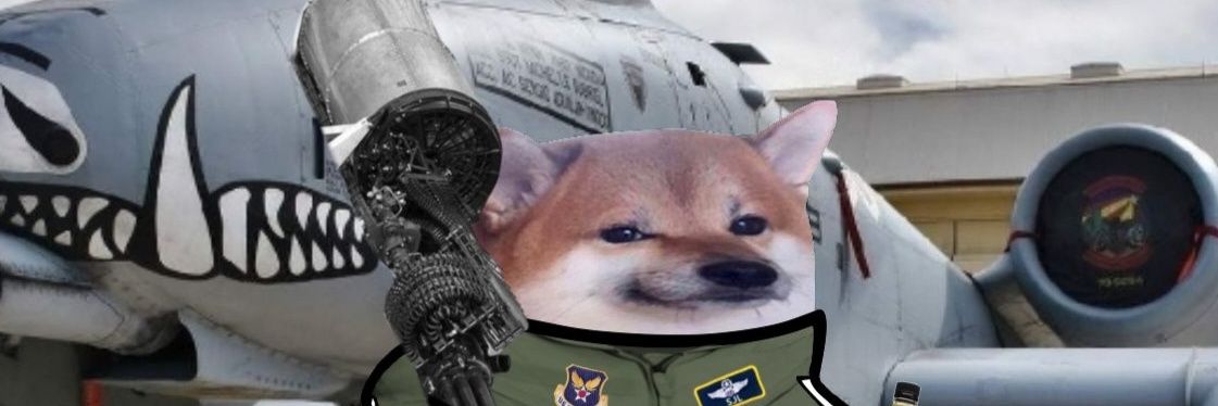 5eanaldTrump's profile banner image