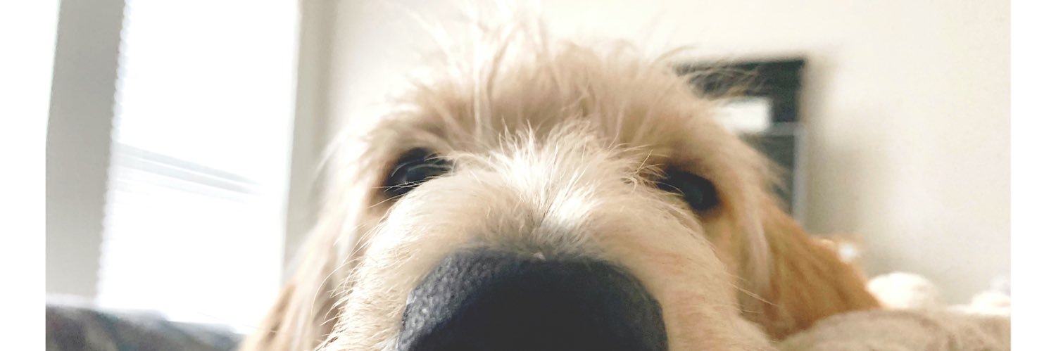 KristaRog's profile banner image